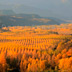 Najerilla Valley