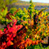 La Rioja del Vino