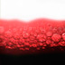 La Rioja del Vino